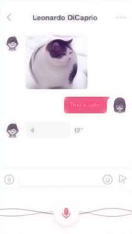 网站攻击软件软件程序维护界面